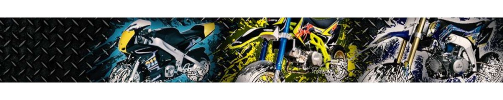 Moto GP carretera motor 4 tiempos competición o matriculable