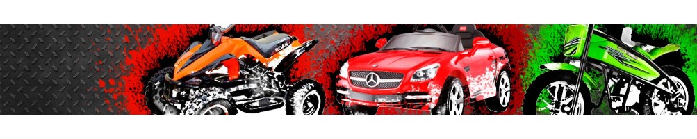 Comprar Vehículos  eléctrico adulto y monociclos